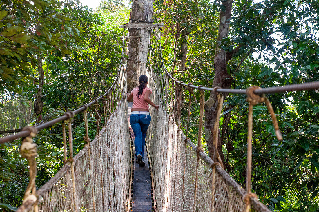 Canopy walking