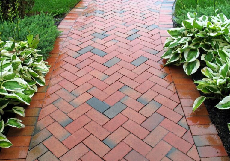 Walkway yard walkways paver pavers pathway landscaping aspect pentru pavaj paving banquetas piso cemento ingrijit