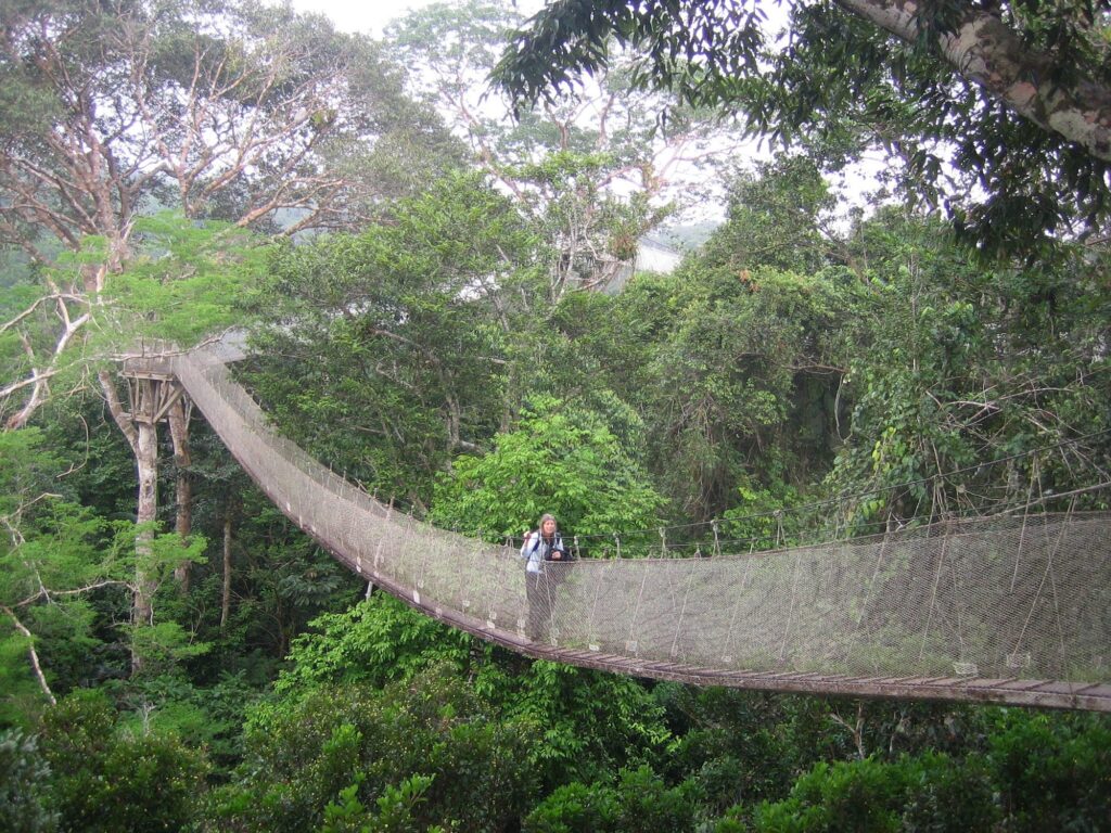 Canopy temburong park national brunei walkways ulu world tour day camping around incredible most holidify full join group