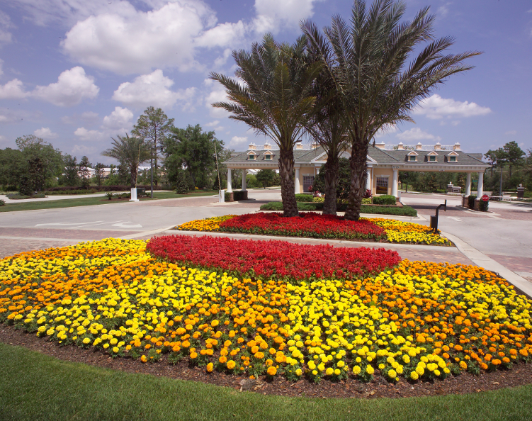 Front walkway landscaping